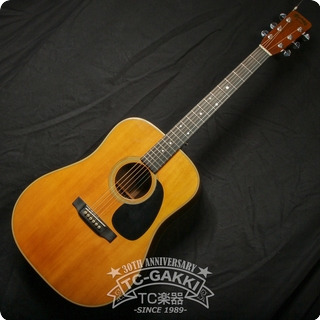 Martin 1969 D 28 1969