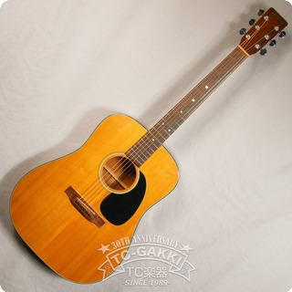 Martin 1979 D 18 1979