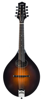 Collings Mt O Mandolin Sunburst