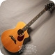 Breedlove SC25 Custom 2013