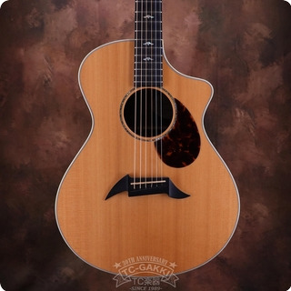 Breedlove Sc25 Custom 2013