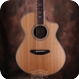 Breedlove C22CE With L.R.Baggs StagePro Anthem 2016