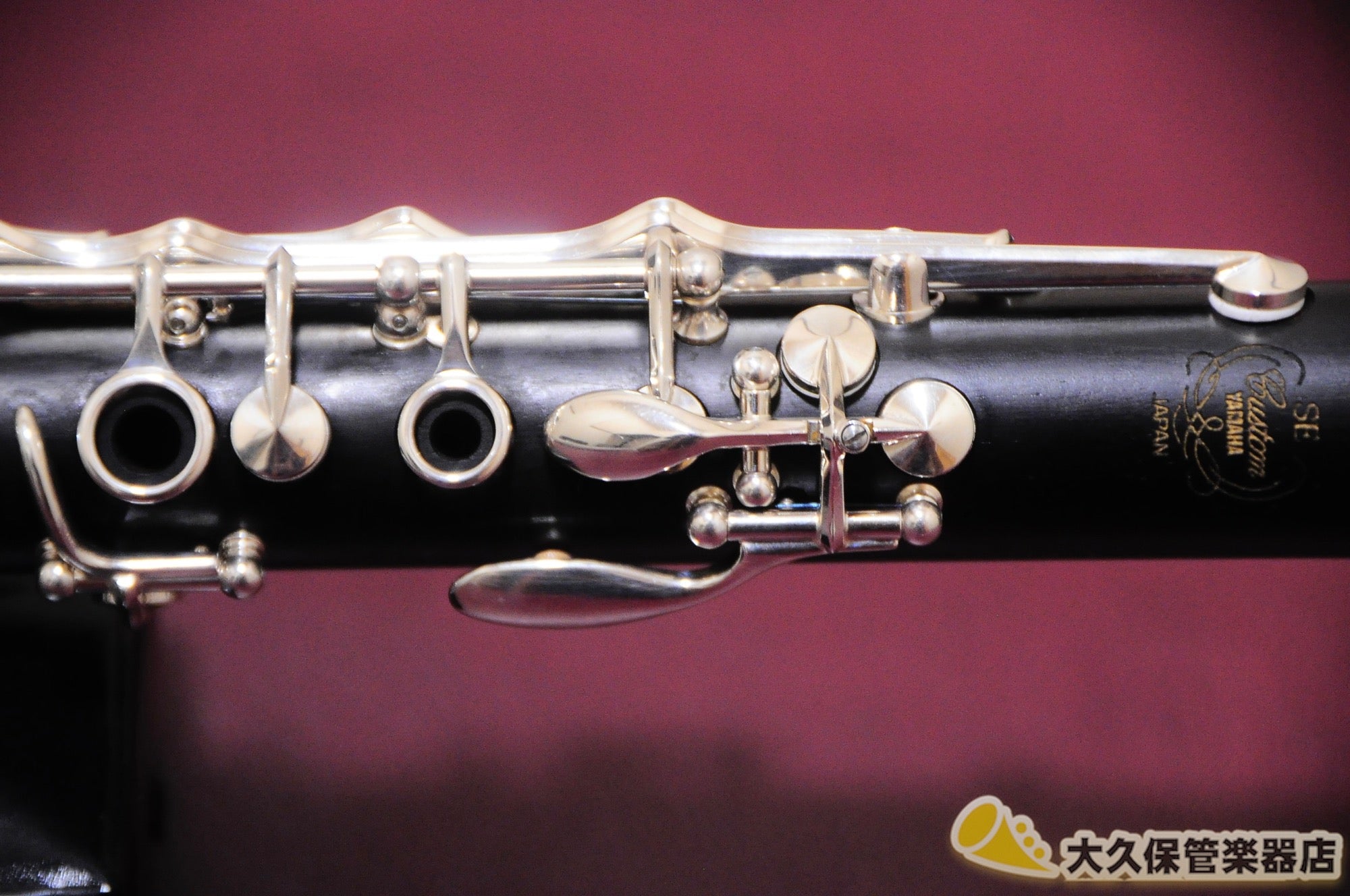 Yamaha Yamaha YCL 853II SE B ♭ Clarinet 2005 0 Brass / Woodwind For Sale  TCGAKKI
