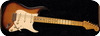 Fender Stratocaster Eric Johnson 2010-2 Tone Sunburst