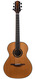 Dreier Armin Concert Cedar Brazilian Rosewood 2015