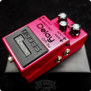 Boss Dm 2w Delay (技waza Craft/japan) 2021