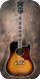 Gibson 1966~67 Dove Cutaway Custom 1960