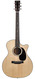 Martin GPC16E Mahogany B-Stock