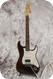 Fender Stratocaster 2006-Mashed Brown