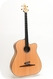 Stoll Guitars The Legendary Acoustic Bass #2004 -Maple