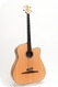 Stoll Guitars The Legendary Acoustic Bass #2004 -Summer Sale--Maple