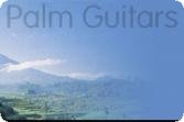 palm guitars | 3