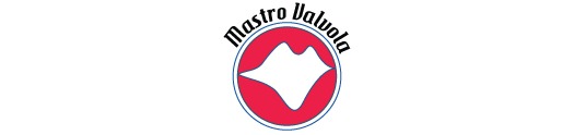 Mastro Valvola